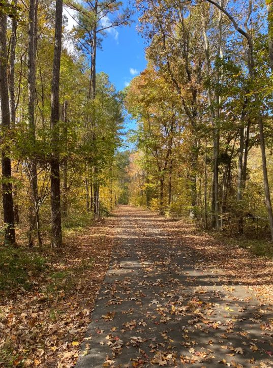 Fall leaves along the Virginia Capital Trail